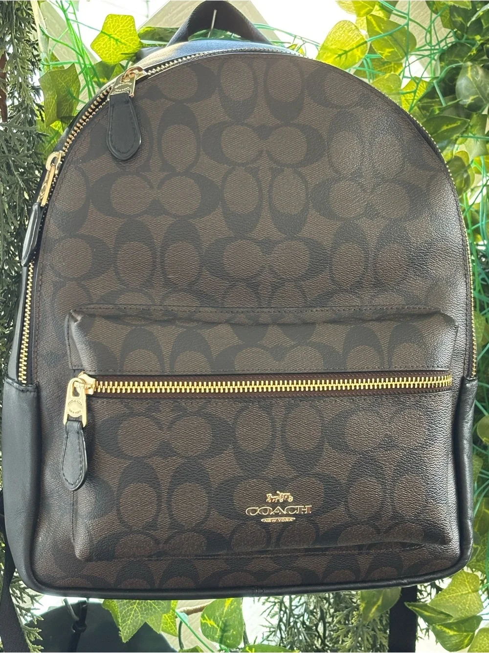 Coach Coated Canvas Signature Charlie Backpack brown canvas leather gold hardwar